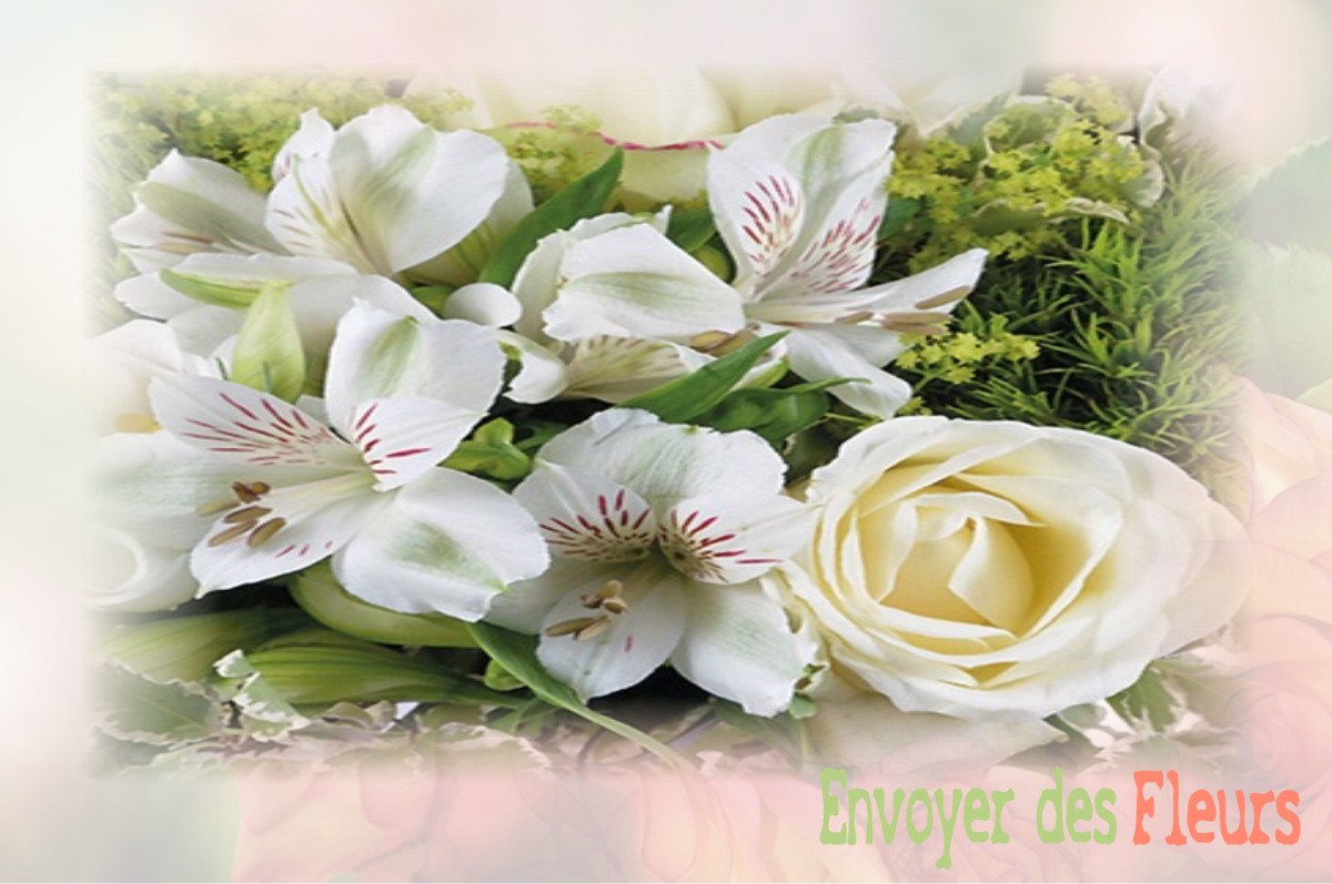 envoyer des fleurs à à VILLENEUVE-LA-DONDAGRE